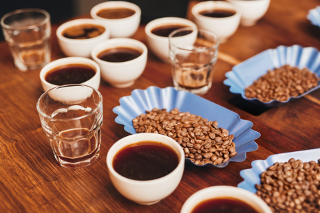 Kahvi arviointia varten valmiina maistelukupeissa ja vieressä kahvipapuja, joista kahvi on tehty.